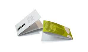 Folded Business Cards Printing